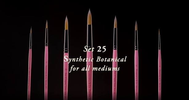 Rosemary & Co handmade botanical all purpose brushes - SET 25 - with 7 brushes