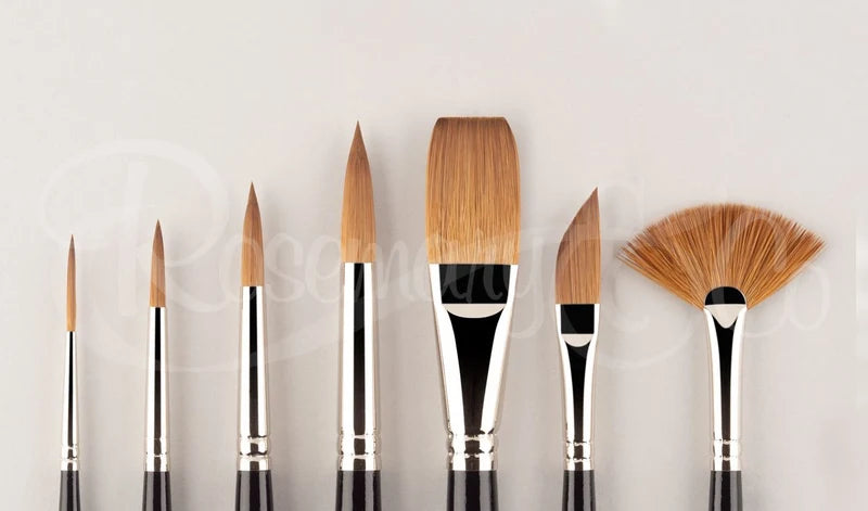 Rosemary & Co Red Dot Collection Set 65 - 7 brushes - intro set
