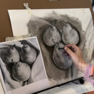 "LEARN TO DRAW THE NATURAL ENVIRONMENT - FOR ALL ABILITIES" Wednesday Evenings x 8 Weeks with Larissa Fraser