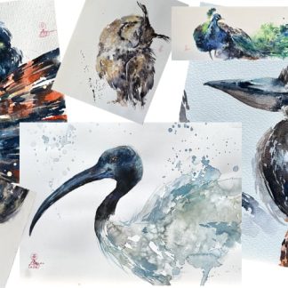"LEARN TO PAINT BIRDS WITH WATERCOLOUR"  - Sunday October 12th with Larissa Fraser