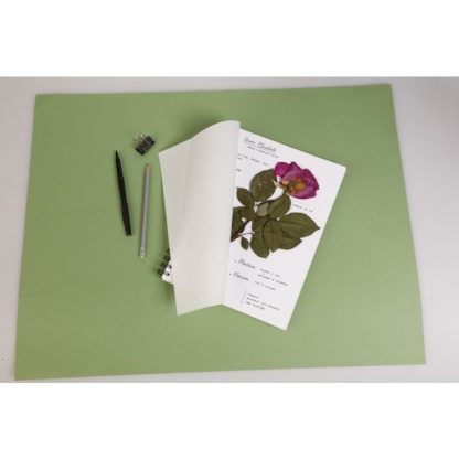 Herbier Pad BOTANICAL Interleaved with Mousseline Paper 32 Sheets / 21 x 21cm / 180g Paper / 37g interleave - Image 2