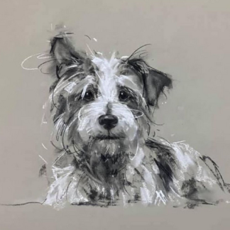 "DOG LIFE DRAWING - LEARN TO DRAW YOUR PET" - Sunday Workshop with Larissa Fraser