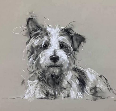 "DOG LIFE DRAWING - LEARN TO DRAW YOUR PET" - Sunday Workshop with Larissa Fraser
