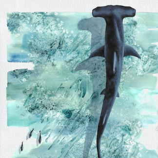LEARN TO PAINT SEA LIFE IN WATERCOLOUR - SUNDAY AUGUST 9TH with Larissa Fraser